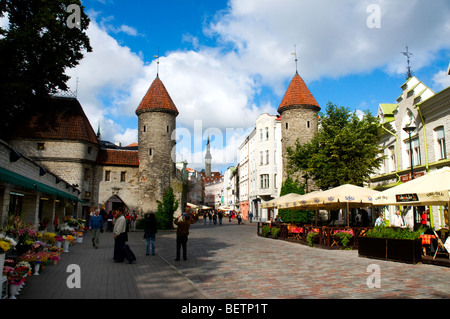 La porte Viru, Tallinn, Estonie Banque D'Images