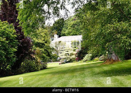 Lady Anne's House à RHS Rosemoor avec Cornus contraversa 'Variegata' AGM Banque D'Images