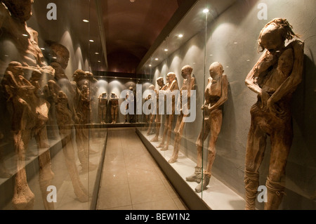 Les momies sur l'affichage à El Museo de las Momias (le musée des momies), Guanajuato, Mexique. Banque D'Images