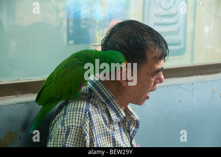 Oiseau sur l'épaule au Marché du week-end de Chatuchak à Bangkok en Thaïlande Banque D'Images
