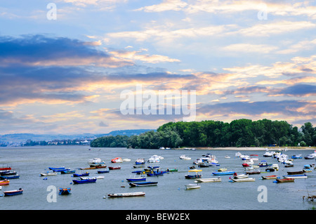 De nombreux petits bateaux de pêche ancrés sur le Danube. Vue de Zemun de Belgrade. Banque D'Images