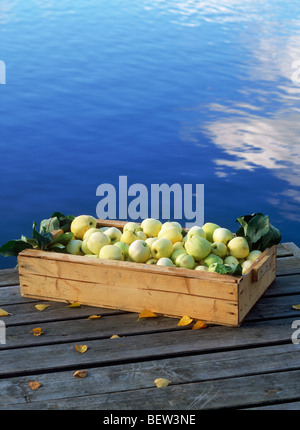 Panier de pommes vertes dans des caisses en bois sur la jetée en bois au bord du lac avec des nuages qui se reflète sur les eaux du lac calme Banque D'Images