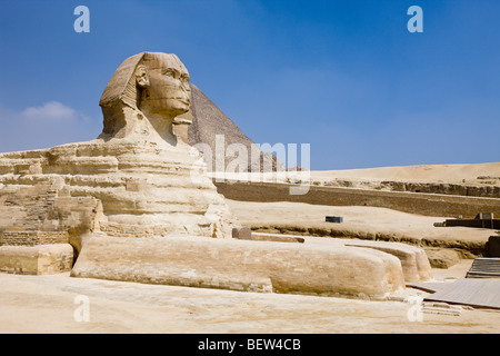 Grand Sphinx de Gizeh, Le Caire, Egypte Banque D'Images