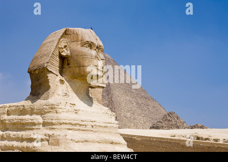 Grand Sphinx de Gizeh, Le Caire, Egypte Banque D'Images