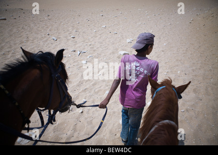 Visite guidée à cheval pyramides de Gizeh, Le Caire, Egypte Banque D'Images
