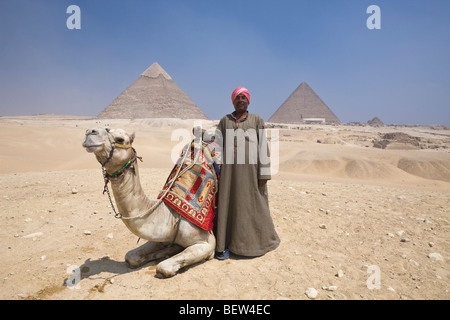 Chamelier en face de la pyramide de Gizeh, Le Caire, Egypte Banque D'Images