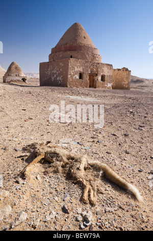 Tombes de El Qasr à Dakhla Oasis, Désert de Libye, Egypte Banque D'Images