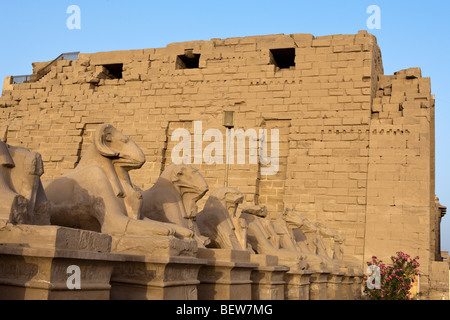 Rangée de sphinx à tête de bélier à Karnak Temple, Luxor, Egypt Banque D'Images