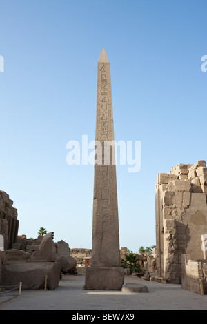 Obélisque d'Hatchepsout à Karnak Temple, Luxor, Egypt Banque D'Images