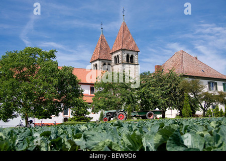 Champ de légumes avec le tracteur en face de l'église Saint Pierre et Paul à Niederzell île de Reichenau, Lac de Constance, Allemagne Banque D'Images