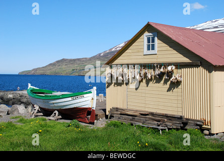 Bateau de pêche à côté d'une maison où le poisson est le séchage, Grenivik, Islande Banque D'Images