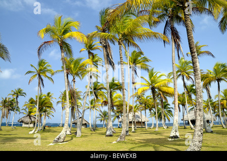 Yandup Island Lodge Off Playon Chico dans les îles San Blas Panama Banque D'Images