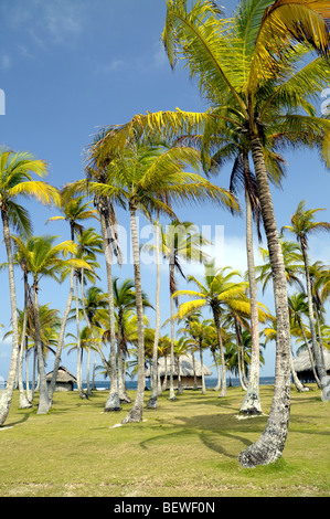 Yandup Island Lodge Off Playon Chico dans les îles San Blas Panama Banque D'Images