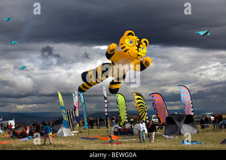 Un cerf-volant en forme de tigre, au moment de la 'Cervolix' Air Festival (Auvergne - France). Cerf-volant en forme de tigre (Auvergne). Banque D'Images