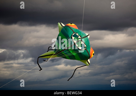 Un cerf-volant en forme de monstre au moment de l 'Air' Cervolix Festival (Auvergne - France). Un cerf-volant en forme de monstre. France Banque D'Images