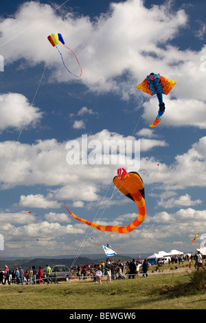 Kites au moment de l 'Air' Cervolix Festival (Auvergne - France). Cerfs-volants lors du festival aérien 'Cervolix' (France). Banque D'Images