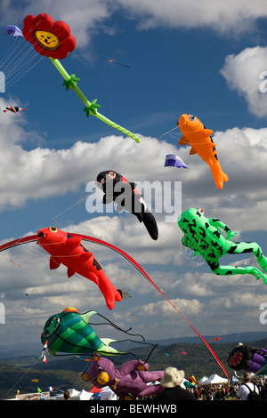 Kites au moment de l 'Air' Cervolix Festival (Auvergne - France). Cerfs-volants lors du festival aérien 'Cervolix' (France). Banque D'Images