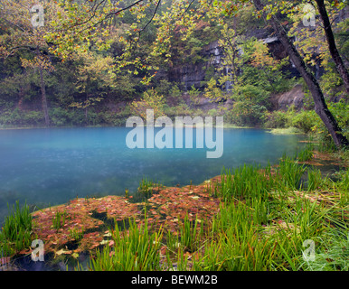 Alley Spring, Ozark National Scenic Riverways, Missouri Banque D'Images