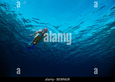 Free diver explore l'eau bleue à côté récif de corail. Sinaï, Egypte - Mer Rouge Banque D'Images