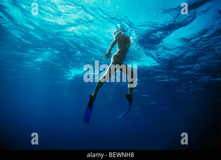 Free diver explore l'eau bleue à côté récif de corail. Sinaï, Egypte - Mer Rouge Banque D'Images