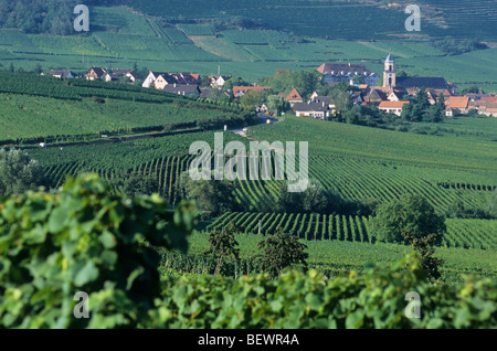Route du Vin, Route des Vins, Saint-Hippolyte, Alsace, France Banque D'Images