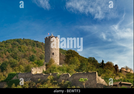 Le Château de Kaysersberg Situé dans les vignes au-dessus de la ville médiévale de Kaysersberg Alsace France Banque D'Images