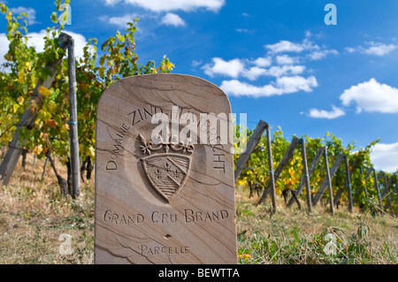 ALSACE Zind-HUMBRECHT Pierre marqueur dans le vignoble Grand Cru Brand parcelle du domaine Zind-Humbrecht Turckheim Alsace Banque D'Images