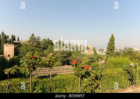 Vue des jardins du Generalife vers l'Alhambra Palace complexe, Grenade, Andalousie, Espagne Banque D'Images