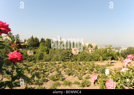 Vue des jardins du Generalife vers l'Alhambra Palace complexe, Grenade, Andalousie, Espagne Banque D'Images