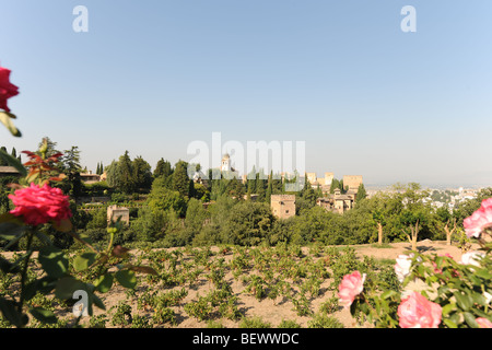 Vue des jardins du Generalife vers l'Alcazaba et complexe de l'Alhambra, Grenade, Andalousie, Espagne Banque D'Images