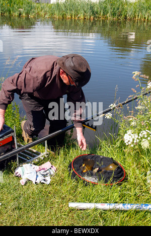 La capture dans le Grand Ouest de la tanche, Canal Mid Devon Banque D'Images