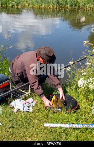 La capture dans le Grand Ouest de la tanche, Canal Mid Devon Banque D'Images