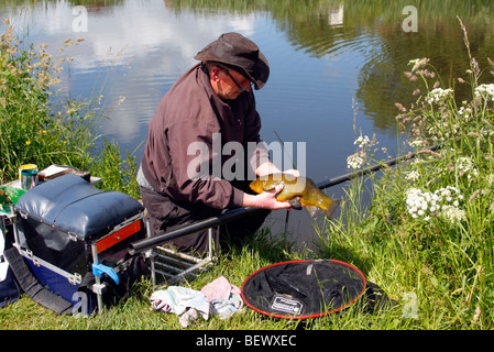 La capture dans le Grand Ouest de la tanche, Canal Mid Devon Banque D'Images