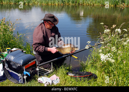 La brème attraper dans le Grand Canal, l'Ouest Mid Devon Banque D'Images