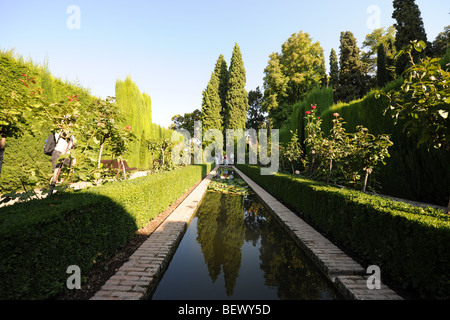 La basse jardins du Generalife, l'Alhambra, Grenade, Andalousie, Espagne Banque D'Images