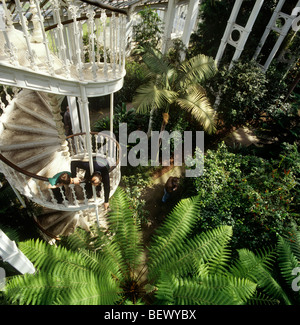 Royaume-uni, Angleterre, Londres Kew Gardens, les gens à l'intérieur chambre tempérée sur spiral stairs Banque D'Images