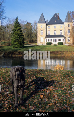 Chateau d Adomenil, Château , Restaurant, Rehainviller, Lunéville, Lorraine, France Banque D'Images