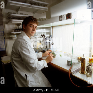 Royaume-uni, Angleterre, Londres, les jardins de Kew scientist Tim Wilkinson, travaillant dans l'unité de la micropropagation Banque D'Images