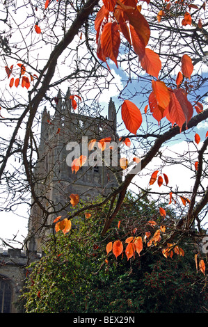 L'église Sainte Marie la Vierge à l'automne, Fairford, Gloucestershire, England, UK Banque D'Images