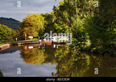 Automne parfait reflet à Llangynidr serrures, monmouth et Brecon Canal Mid Wales Banque D'Images