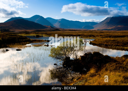 L'ensemble du paysage sombre ouvert Blackmount Rannoch Moor, en Écosse. 5396 SCO Banque D'Images