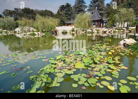 Jardin Chinois à la bibliothèque Huntington. Banque D'Images