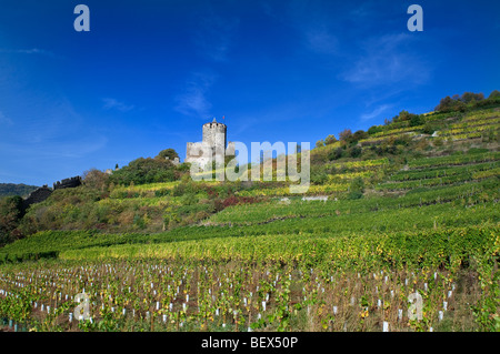 Le Château de Kaysersberg et vignobles grand cru Schlossberg Kaysersberg Alsace France Banque D'Images