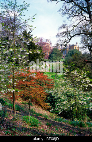 Le "printemps" jardins au printemps au Château de Belvoir avec fleurs colorées Banque D'Images