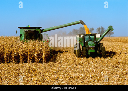 Une moissonneuse-batteuse John Deere maïs-grain récoltes tandis que la tarière récoltés dans un wagon de grain de maïs "à la volée" / New York, USA. Banque D'Images