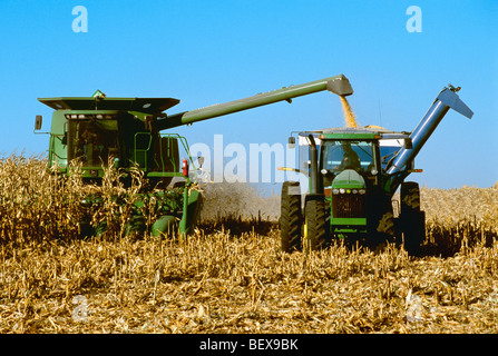 Une moissonneuse-batteuse John Deere maïs-grain récoltes tandis que la tarière récoltés dans un wagon de grain de maïs "à la volée" / New York, USA. Banque D'Images