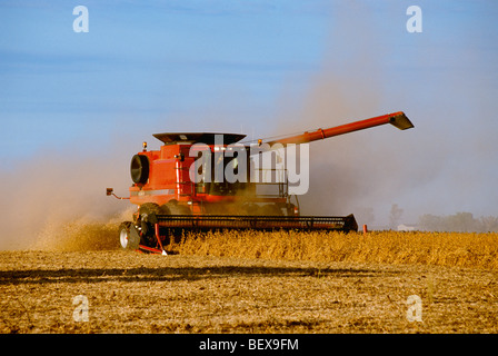 Agriculture - une moissonneuse-batteuse Case IH récoltes de soja en fin d'après-midi / lumière près de Chana, Illinois, USA. Banque D'Images