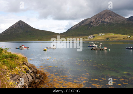 Vue sur le Loch Slapin vers Beinn Dearg Bheag et Beinn Dearg Mhor sur l'île de Skye Banque D'Images