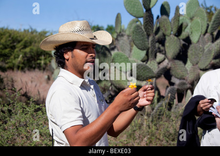 El Charco del Ingenia, Botanical Garden, San Miguel de Allende, Guanajuato, Banque D'Images