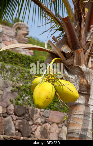 Spa Monte Coxala Ecologico, Ajijic, le lac Chapala, Jalisco, Mexique Banque D'Images